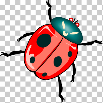 SVG Ladybug illustration