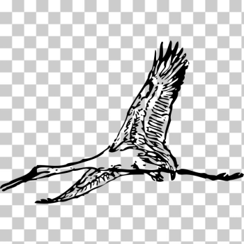 SVG Large crane bird SVG Large crane bird