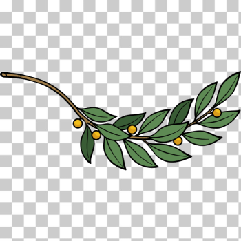 SVG Laurel branch vector image SVG Laurel branch vector image