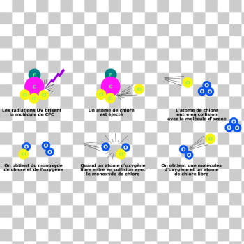 SVG laurenth2 CFCdestruction ozone cleaned SVG laurenth2 CFCdestruction ozone cleaned
