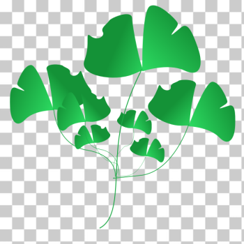 SVG Leaf SVG Leaf