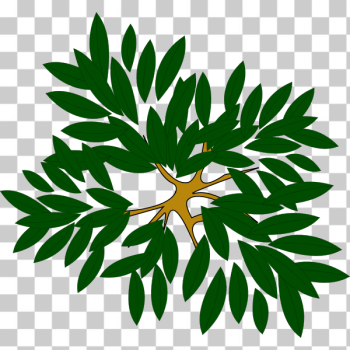 SVG Leafy plant SVG Leafy plant