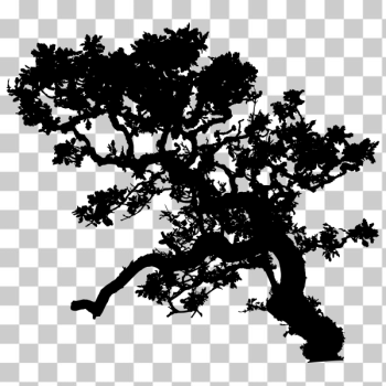 SVG Leafy Tree Silhouette SVG Leafy Tree Silhouette