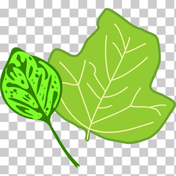 SVG Leaves SVG Leaves