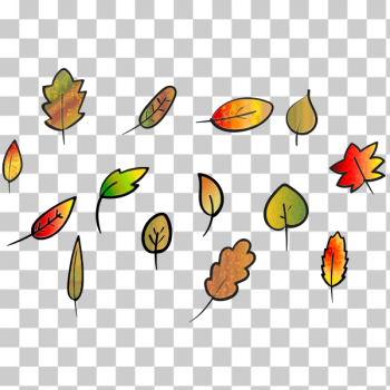 SVG Leaves Set Autumn Colors SVG Leaves Set Autumn Colors