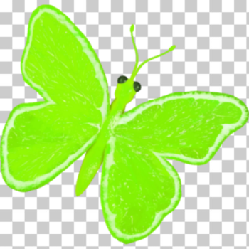 SVG Lemon butterfly SVG Lemon butterfly