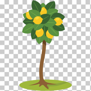 SVG Lemon tree symbol SVG Lemon tree symbol
