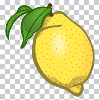 SVG Lemon vector clip art