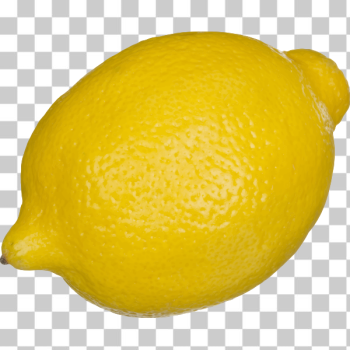 SVG Lemon vector illustration SVG Lemon vector illustration