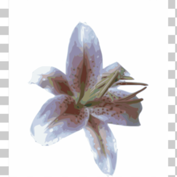 SVG Lily SVG Lily
