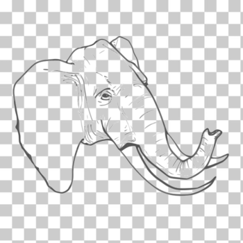 SVG Line art vector drawing of elephant SVG Line art vector drawing of elephant