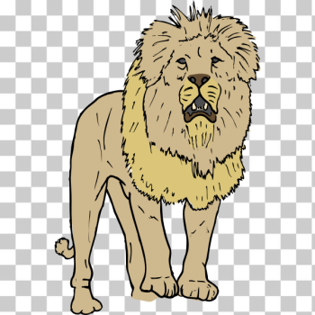 SVG Lion illustration SVG Lion illustration