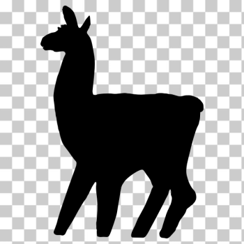SVG Llama Silhouette-1578296802 SVG Llama Silhouette-1578296802
