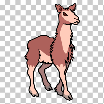 SVG llama vector illustration SVG llama vector illustration