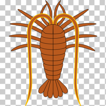SVG Lobster 2 SVG Lobster 2