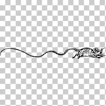 SVG Long-tailed mouse SVG Long-tailed mouse