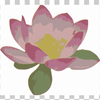 SVG Lotus SVG Lotus