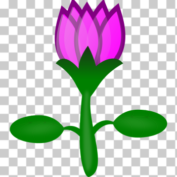 SVG Lotus SVG Lotus