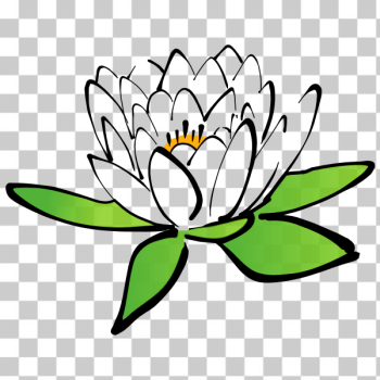 SVG Lotus flower image