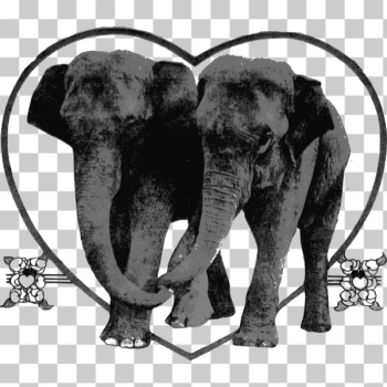 SVG Lover Elephants SVG Lover Elephants