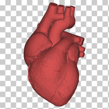 SVG Low Poly 3D Heart Red SVG Low Poly 3D Heart Red