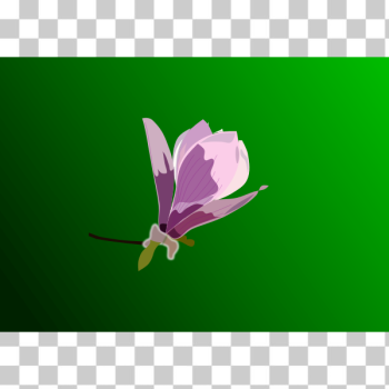 SVG Magnolia vector drawing SVG Magnolia vector drawing