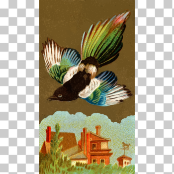 SVG Magpie