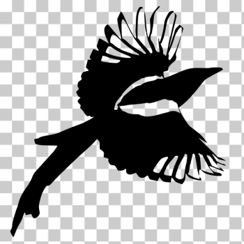 SVG Magpie-1574100842