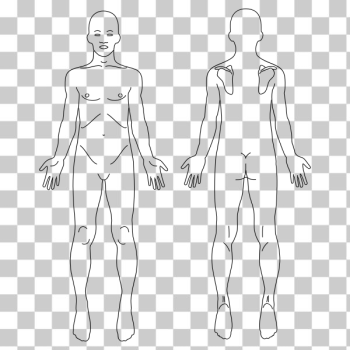SVG Male anatomy image SVG Male anatomy image