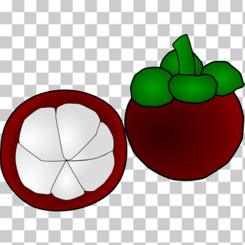 SVG Mangosteen Thai Fruit SVG Mangosteen Thai Fruit