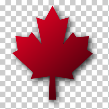 SVG Maple leaf vector graphics SVG Maple leaf vector graphics
