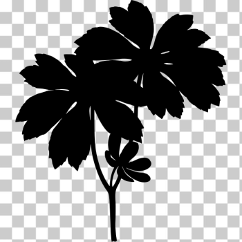 SVG Maple leaves silhouette
