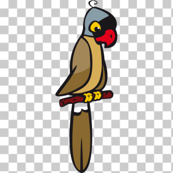 SVG Mascarin parrot vector image SVG Mascarin parrot vector image