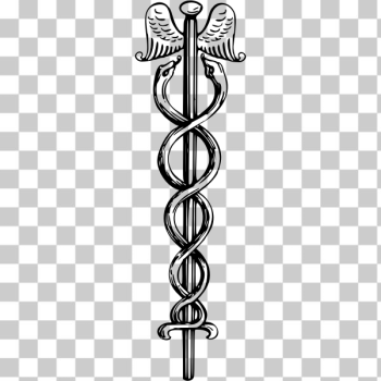 SVG Medicine symbol vector image