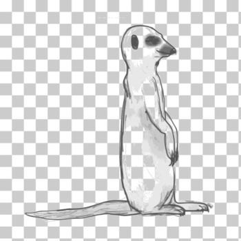 SVG Meerkat sketchy SVG Meerkat sketchy