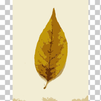 SVG Missouri Fall Tree Leaves