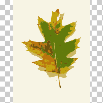 SVG Missouri Fall Tree Leaves 1