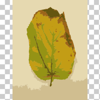 SVG Missouri Fall Tree Leaves 3
