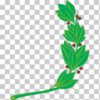 SVG Mistletoe branch SVG Mistletoe branch