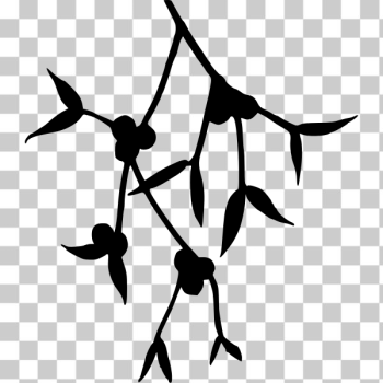 SVG Mistletoe silhouette SVG Mistletoe silhouette