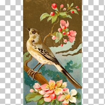 SVG Mocking bird SVG Mocking bird
