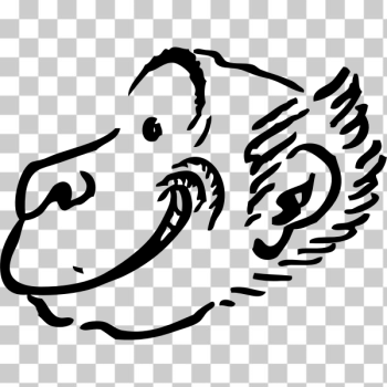SVG Monkey profile SVG Monkey profile
