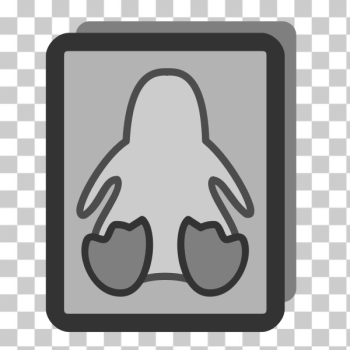 SVG Monochrome icon card