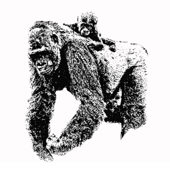 SVG Mother and baby gorilla SVG Mother and baby gorilla