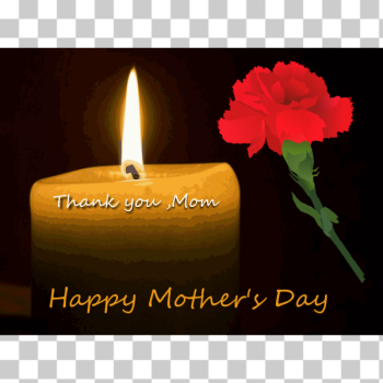 SVG Mother039s Day carnation and candle SVG Mother039s Day carnation and candle