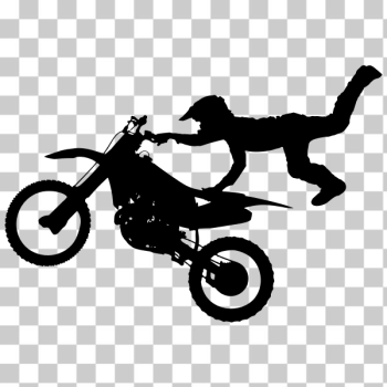 SVG Motocross bike SVG Motocross bike