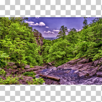SVG Mountain River Jungle SVG Mountain River Jungle