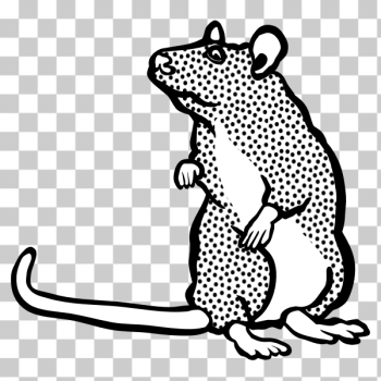 SVG mouse2 - lineart SVG mouse2 - lineart