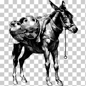 SVG Mule with burden SVG Mule with burden