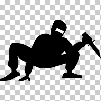 SVG Ninja hiding vector image SVG Ninja hiding vector image